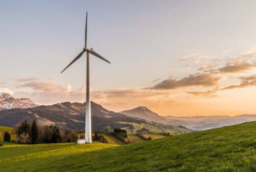 Pratiques de développement durable : Stratégies innovantes dans le monde des affaires