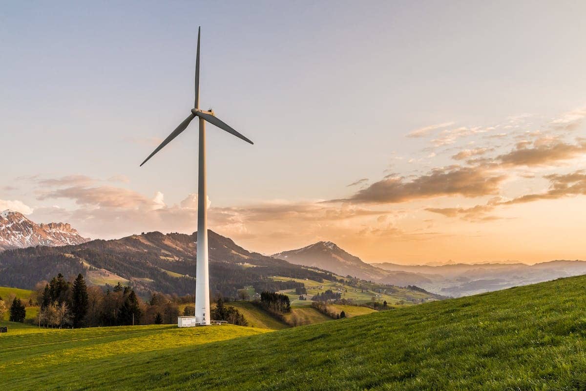 Pratiques de développement durable : Stratégies innovantes dans le monde des affaires