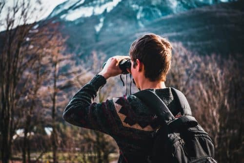 Quel métier en rapport avec les animaux ?