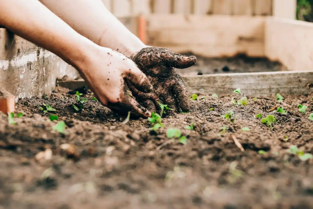 une personne jardinant