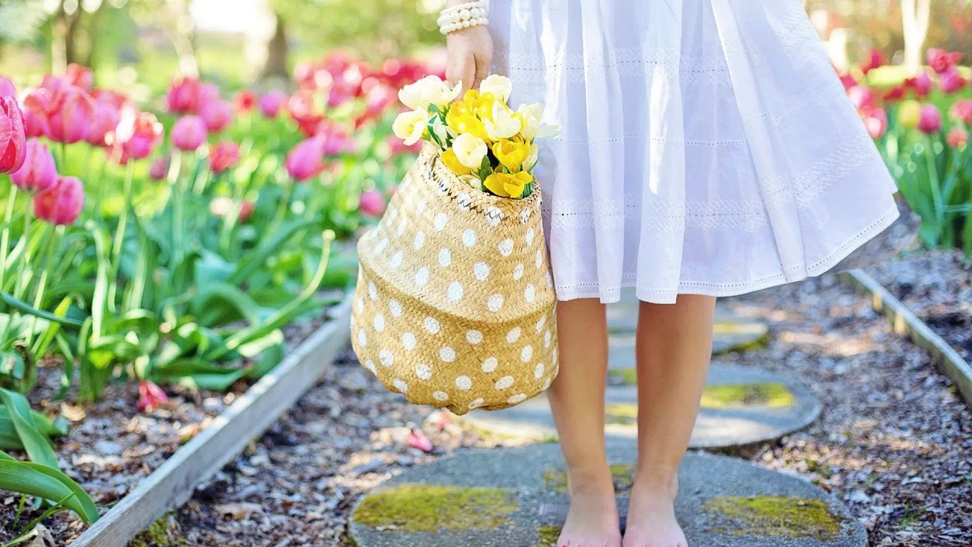 Quel type de fleurs tropicales offrir pour une naissance ?