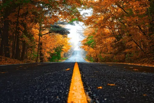 Quelle est la meilleure voiture pour faire de la route ?