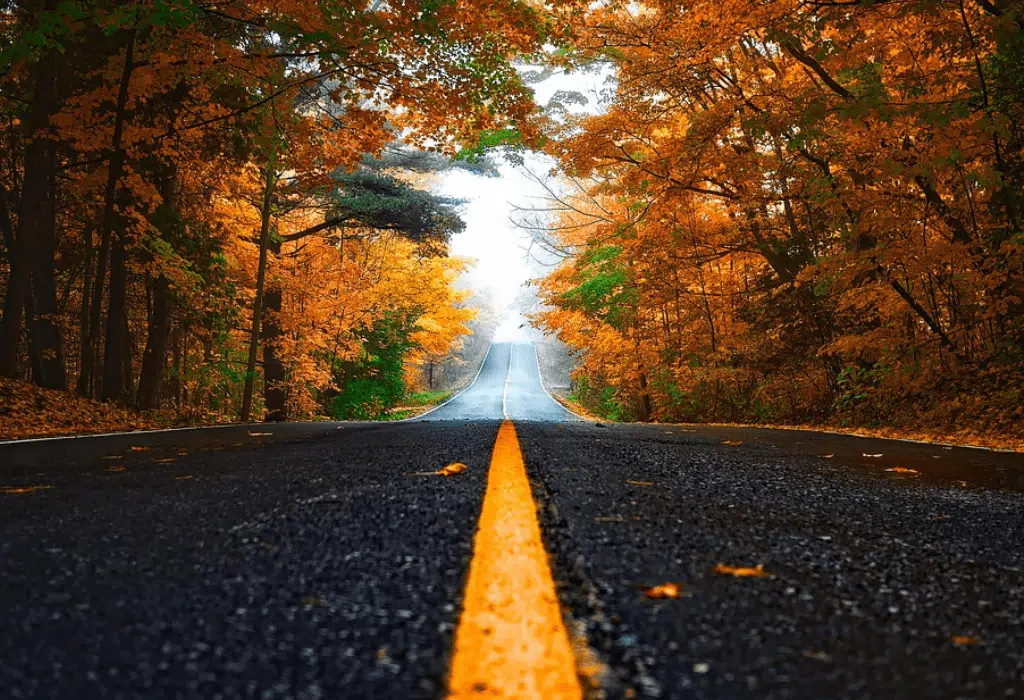 Quelle est la meilleure voiture pour faire de la route ?